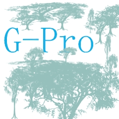 GPro改比例助手