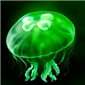 绿水母eggjelly