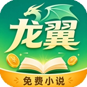 龙翼小说