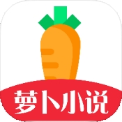 萝卜小说