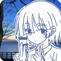 Maple检测