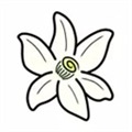 橙花模拟器