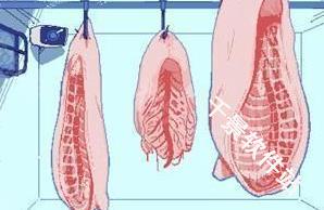 冰点下30度的绝望