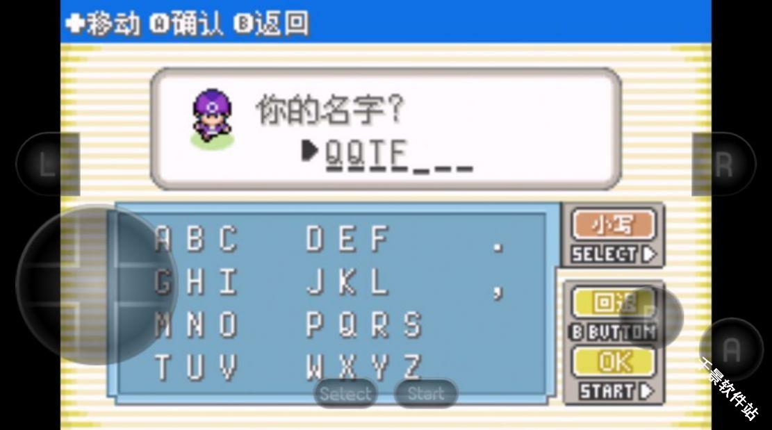 口袋妖怪黑琥珀