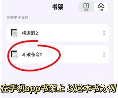 掌旗小说阅读器