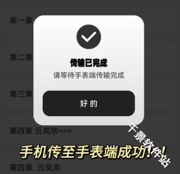 掌旗小说阅读器