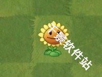 植物大战僵尸亚马逊版