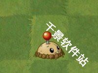 植物大战僵尸亚马逊版