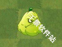 植物大战僵尸亚马逊版