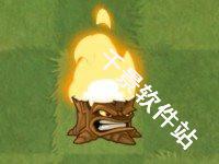 植物大战僵尸亚马逊版