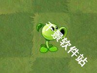 植物大战僵尸亚马逊版