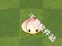 植物大战僵尸亚马逊版