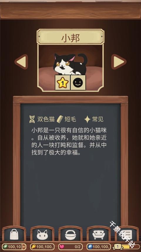 绒毛猫咖啡厅