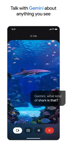 Google gemini截图2