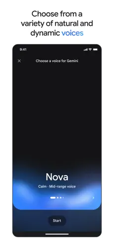 Google gemini截图4