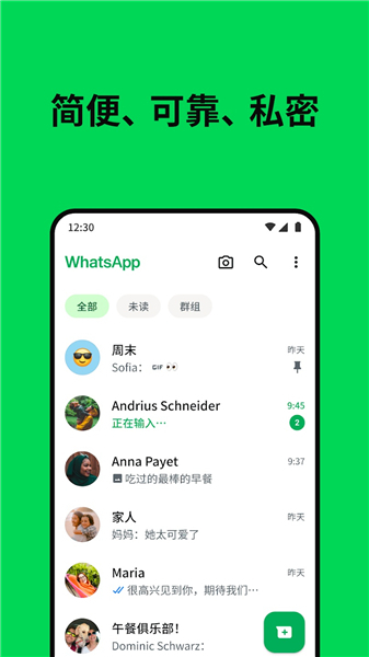WhatsApp截图4