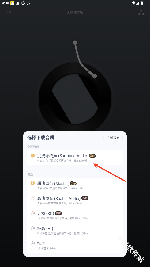 荣耀音乐网易云定制版