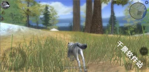 野狼模拟器2