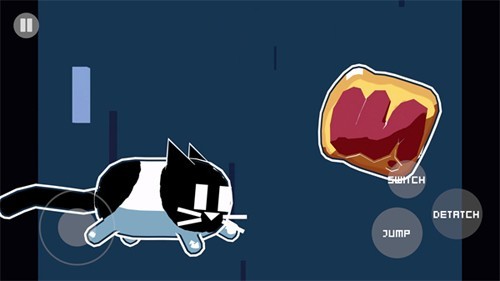 黄油猫cato