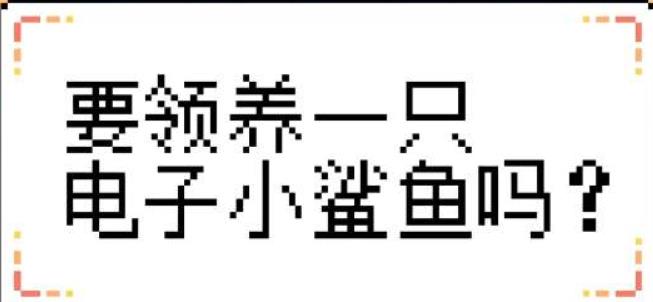 我的小鲨鱼