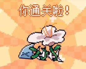 我的小鲨鱼