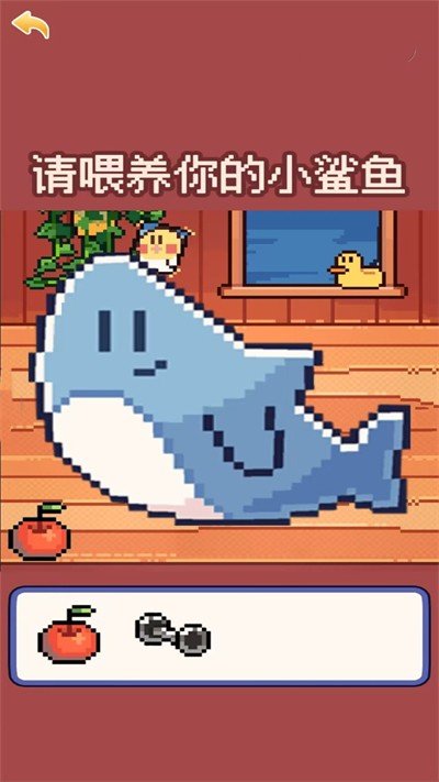 我的小鲨鱼