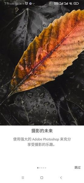 lightroom手机安卓版截图1