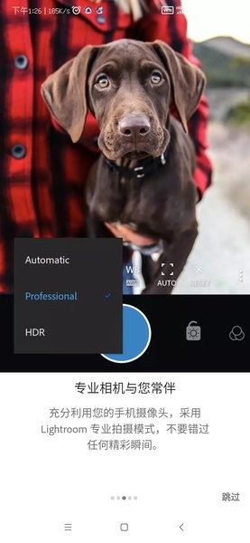 lightroom手机安卓版截图3