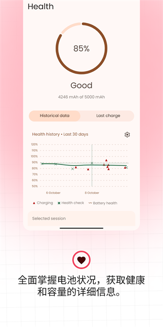 BatteryGuru电池检测