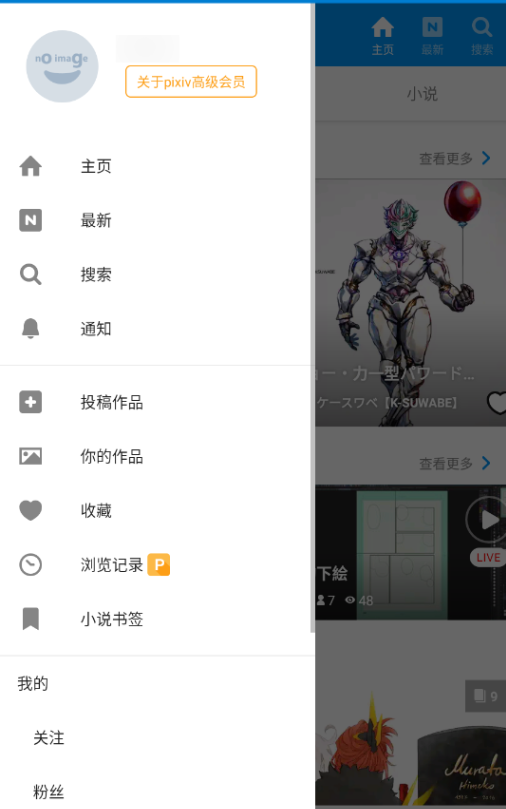 p站