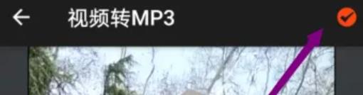 乐秀视频剪辑视频编辑