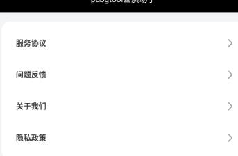 自瞄透视辅助器