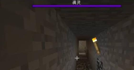 我的世界真正的凋零风暴