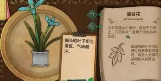 奇异园艺