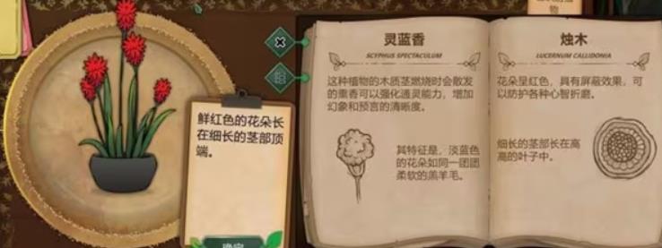 奇异园艺