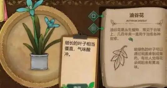 奇异园艺