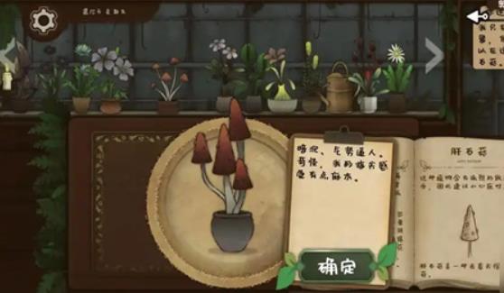 奇异园艺