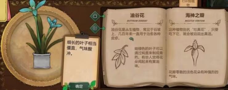 奇异园艺