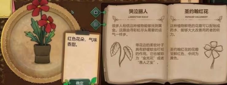 奇异园艺