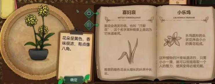 奇异园艺