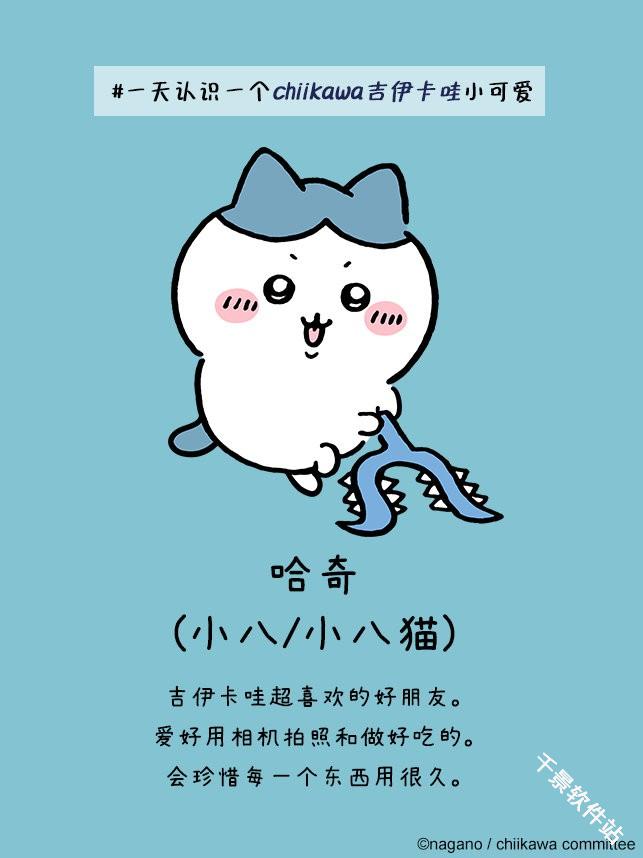 口袋吉伊卡哇国际服