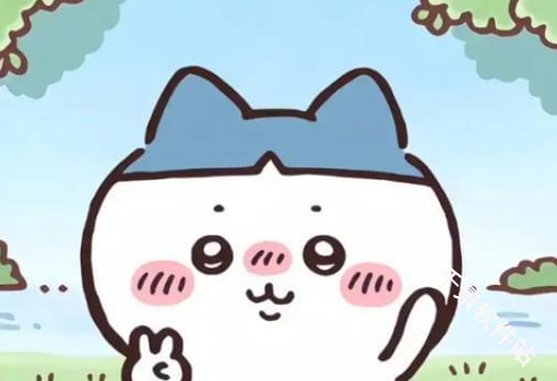 口袋吉伊卡哇国际服