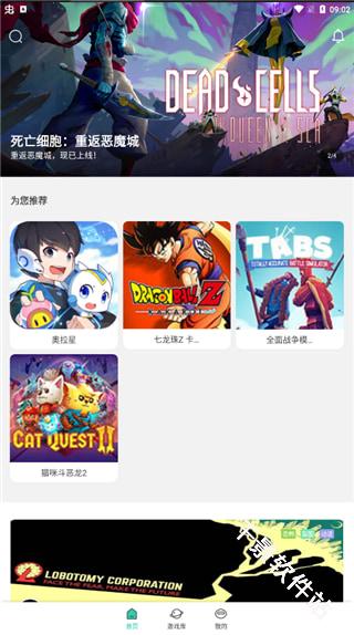 饺子云