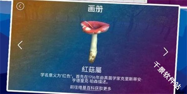 真实采集蘑菇模拟器