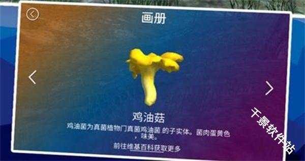 真实采集蘑菇模拟器