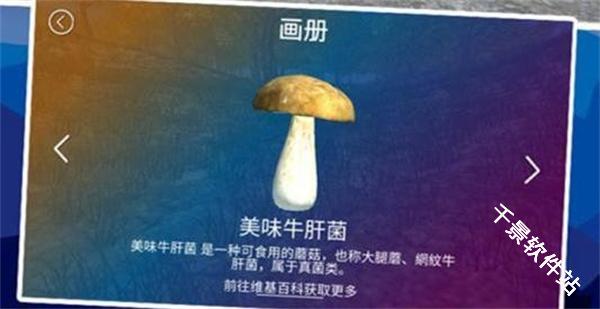 真实采集蘑菇模拟器
