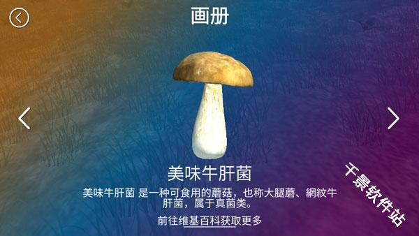 真实采集蘑菇模拟器