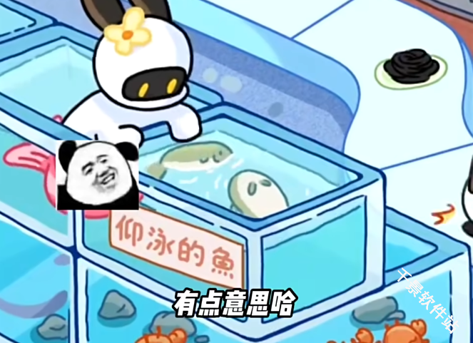兔克创业记