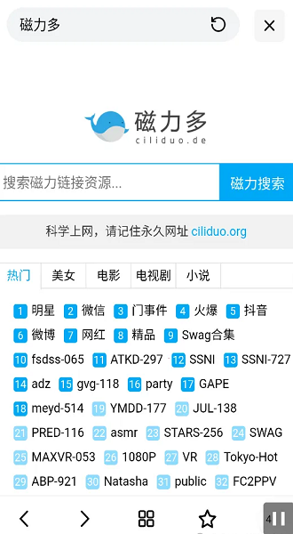 超强磁力搜索截图4