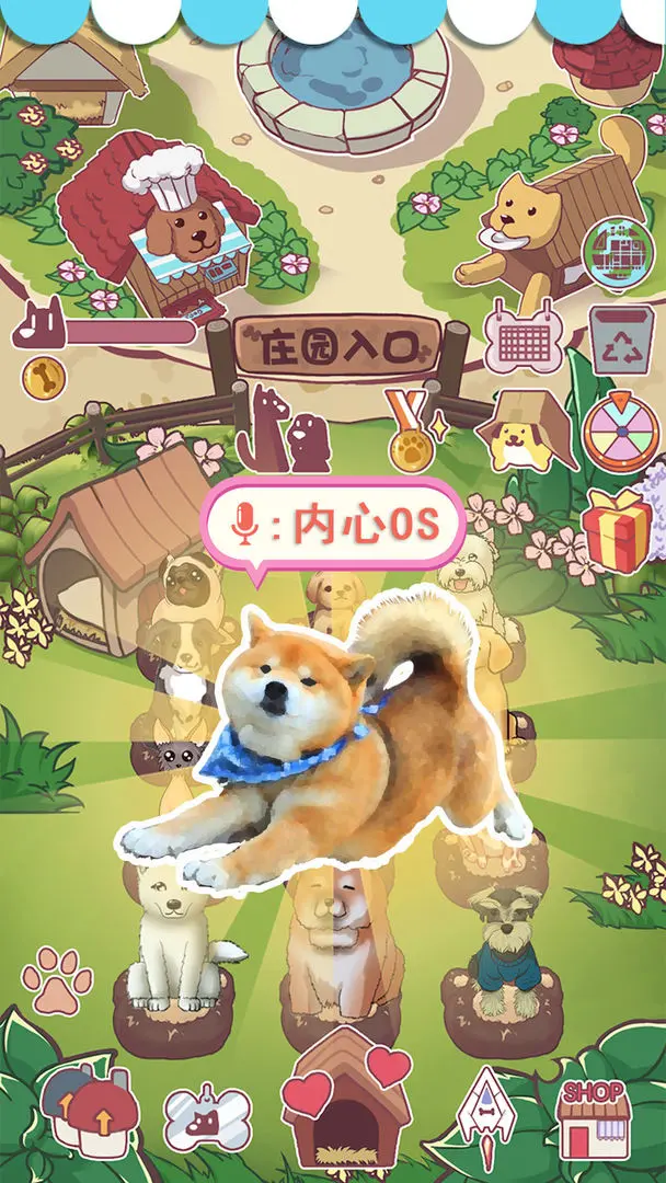 狗狗派对